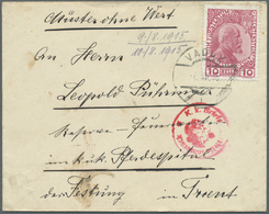 Br Liechtenstein: 1915, 10 H. Fürst Gew. Papier Auf Kl. Brief "Muster Ohne Wert" Von Vaduz An Das K.u.k-Pferdespi - Lettres & Documents