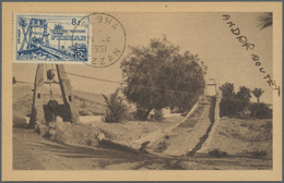 MK Fezzan: 1949, 8fr. Gorda Well On Maximum Card Clearly Oblit. With Cds. "SEBHA 24 6 1951", Certificate Vachat. Rare An - Storia Postale