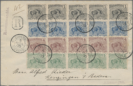 Br Französisch-Guyana: 1905, 1 To 5 Cent. Ant-eater Decorative Franking In Strips Of Five On Registered Letter From CAYE - Covers & Documents