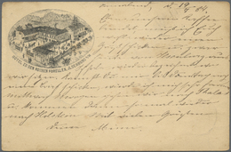 GA Ansichtskarten: Vorläufer: 1884, ILSENBURG "Hotel Zu Den Rothen Forellen" Privatganzsache 5 Pf. Lila - Non Classificati