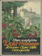 Ansichtskarten: Baden-Württemberg: SIGMARINGEN (alte PLZ 7480), Sehr Dekorative Werbetafel (22 X 30 - Andere & Zonder Classificatie