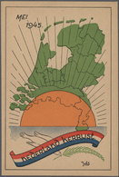 Ansichtskarten: Politik / Politics: NIEDERLANDE Ab 1945, Ungefähr 160 Propagandakarten Mit Zahlreich - People