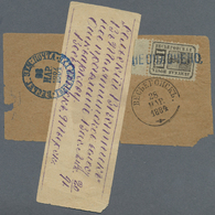 Br Russland - Semstwo (Zemstvo): 1884, VESSIEGONSK : A Wrapper With Newspaper From ST. PETERSBURG To Imperial Pos - Zemstvos