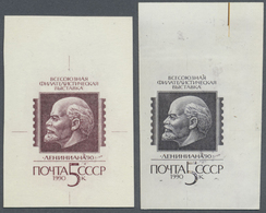 (*) Sowjetunion: 1990, 5 Kop. Stamp Exhibition LENINIANA, Two Single Die Proofs: In Issued Colour On Cardboard And - Covers & Documents