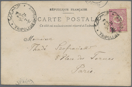 Br Türkei: 1901. Picture Post Card Of 'Mosque, Tripoli' Addressed To France Bearing Turkey Yvert 92, 20p Rose Tie - Storia Postale