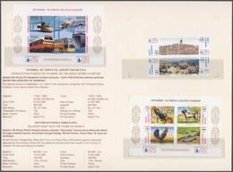 ** Türkei: 1996, Stamp Exhibition ISTANBUL '96, Both Imperforated Souvenir Sheets (with Red And Black Inscription - Storia Postale