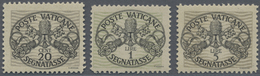** Vatikan - Portomarken: 1946, Wappenzeichnung, Breite Unterdrucklinien Auf Grauem Papier, "ottimamente Centrati - Postage Due