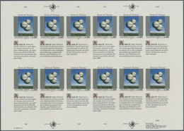 ** Vereinte Nationen - Genf: 1993. Imperforate Pane Of 12 + 12 Se-tenant Labels For The 90c Value Of The "Human R - Unused Stamps