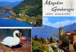 Magadino Gambarogno - Lago Maggiore - 31 - Formato Grande Viaggiata – E 2 - Arogno