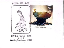 BIRDS-PEACOCKS-PICTORIAL CANCEL-HYPEX GOLD-SPECIAL COVER-INDIA-2013-IC-219 - Paons