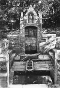 - 29 - DAOULAS. - Fontaine De L'Ancienne Abbaye - - Daoulas