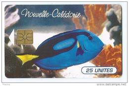 Telecarte Nouvelle Caledonie NC 36 Poisson Tropical - Nouvelle-Calédonie