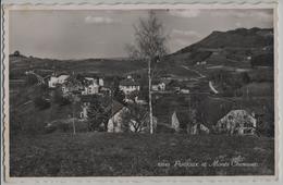 Puidoux Et Monts Cheseaux - Photo: Perrochet - Puidoux