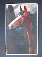 C.Burton, Artist Signed Postcard - HORSE - Caballos