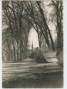 Delcampe - MONTBARD - Le Parc Buffon Et Chapelle De L'Institution (1961) - Montbard