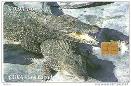 160 TARJETA DE CUBA DE DOS COCODRILOS (COCODRILO-CROCODRILE) - Kuba