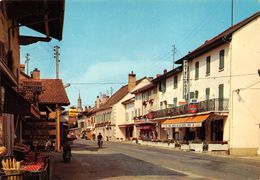 Douvaine Hôtel De La Poste - Douvaine