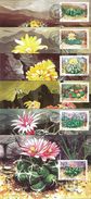 Romania 1997 Maximum Cards Cactus Flowers - Cartas & Documentos