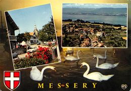 Messery Canton Douvaine - Messery