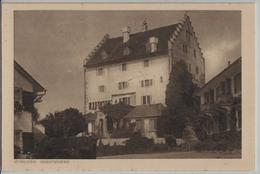 Schloss Greifensee - Greifensee
