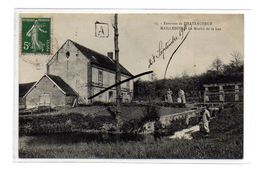 CPA 28 - CHATEAUNEUF - MAILLEBOIS - Le Moulin De La Leu - Châteauneuf
