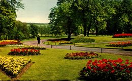 COLCHESTER CASTLE - The Grounds - Colchester