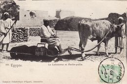 Le Laboureur Et Hache-paille - Persone