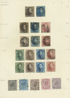 Belgien: 1849/1924; Schöne Sammlung Mit Einem überaus Reizvollen Anteil Von Tadellos Erhaltenen Dubl - Altri & Non Classificati