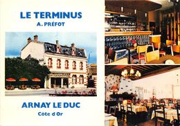 21-ARNAY-LE-DUC - MULTIVUES- LE TERMINUS - Arnay Le Duc