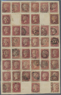 O/**/* Großbritannien: 1855/1960 (ca.), Specialised Accumulation In A Binder, Main Value QV 1d. Red Perf. S - Altri & Non Classificati