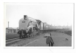 LOCOMOTIVE A VAPEUR Photographie Format CPA Train Machine The Elizabethan - Equipment