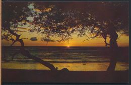 °°° 8157 - COSTA RICA - GUANACASTE - ATARDECER EN PLAYAS DE AVELLANAS - 1982 With Stamps °°° - Costa Rica