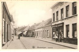 Wommelgem : Dasstraat - Wommelgem