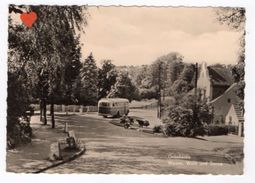 17227-LE-ALLEMAGNE-Grünheide-Wasser,Wald Und Sonne------------autobus - Gruenheide