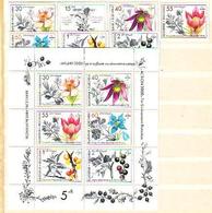 BULGARIA / Bulgarie 1991  A MEDICINAL PLANT  6 V.+S/M - MNH - Medicinal Plants