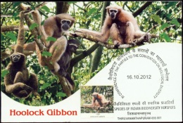 MONKEYS-HOOLOCK GIBBON-ENDEMIC SPECIES OF INDIAN BIOSPHERE HOTSPOTS-MAXIMUM CARD-INDIA-2012-IC-222 - Apen