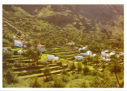 Canaries - La Gomera - Cultivo De Terraza En Valle Gran Rey - Edición Andy I. Canarias - Neuve - - Gomera