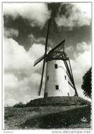 DAMME (W.Vl.) - Molen/moulin - Oudere Prentkaart Van De Schellemolen Met Fraaie Wolkenlucht (ca. 1950) - Damme