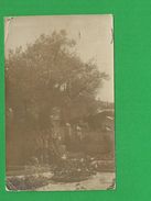 ISRAEL JERUSALEM CARTE PHOTO 1921 Jardin De Gethsemanie - Israele