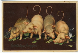 Cochons Faisant Le Millesime 1909 Avec Leurs Queues Timbrée Hongrie - Cochons