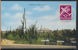 °°° 8248 - ARUBA - LANDSCAPE - 1949 With Stamps °°° - Aruba