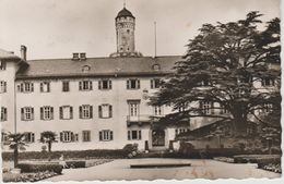 (DE1446) BAD HOMBURG . SCHLOSS - Bad Homburg