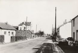 Haut-Fays - LOT 3 CP - Route Vers Wellin Les écoles Et La Poste + Place Et Monument + Sclassin - Daverdisse