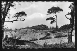 VOGELENZANG Camping Nord-Holland Bloemendaal Duinen - Bloemendaal