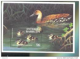 ANTIGUA & BARBUDA   1855 MINT NEVER HINGED SOUVENIR SHEET OF BIRDS ; DUCKS   ( - Non Classificati