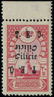 Neuf Sans Charnière N° 68a, 20pa Rose T, Surcharge Noire, 2 Variétés : Surcharge Renversée + Surcharge Double Dont Une R - Sonstige & Ohne Zuordnung