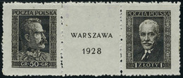 Neuf Avec Charnière N° 240/1, La Paire Varsovie 1928 Avec Logo T.B. - Andere & Zonder Classificatie