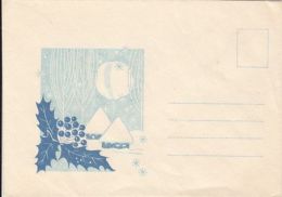 65399- WINTER LANDSCAPE, HOUSE, MISTLETOE, SPECIAL COVER, UNUSED, ROMANIA - Other & Unclassified