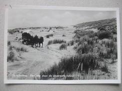 M08 Ansichtkaart Terschelling - Ritje Door De Ongerepte Natuur 1955 - Terschelling