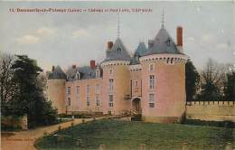 DAMMARIE EN PUISAYE CHATEAU ET PONT LEVIS - Autres & Non Classés